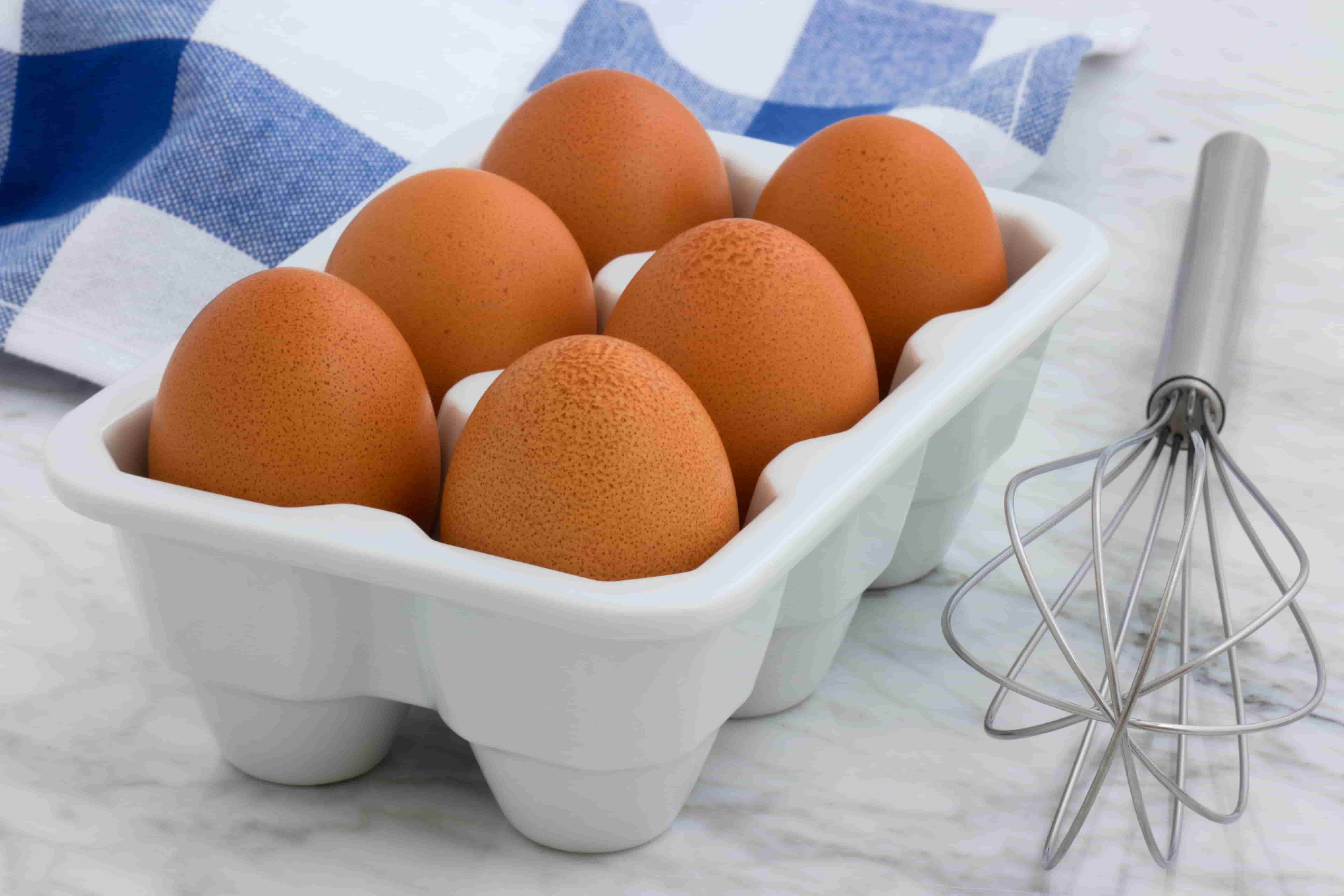 Fresh Eggs